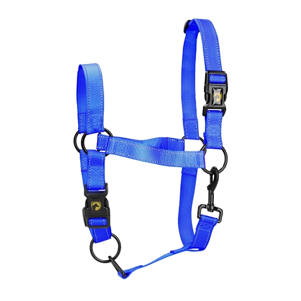 Erinomainen Horse Premium -riimu L Cob Blue