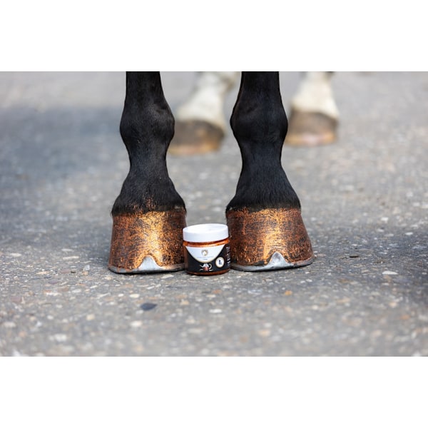 Fremragende Horse Hi Gloss Glitter Hoof Polish Silver 150 ml