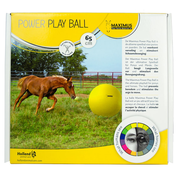 Maximus Power Play Ball 65cm