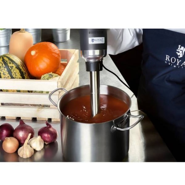 Kraftfull mixer, stavmixer, lång. 400 mm 500 W 230 V Royal Catering