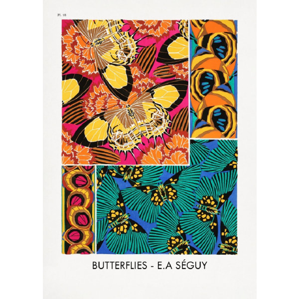 Butterflies 18 - 50x70 cm