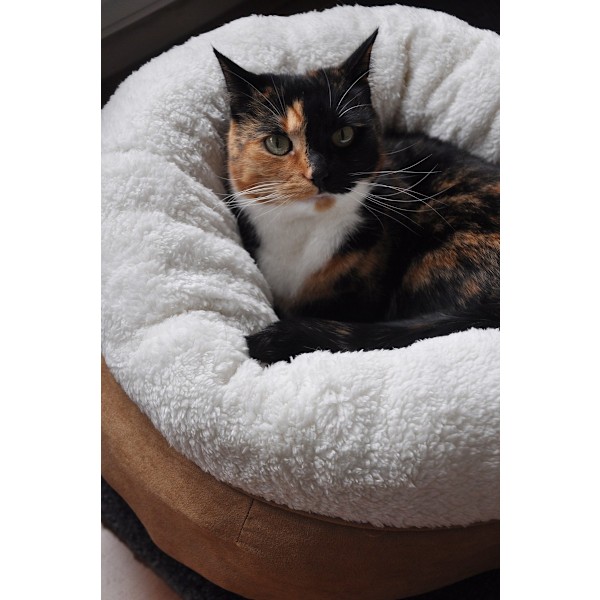 AFP Lammeuld Donut Bed TAN