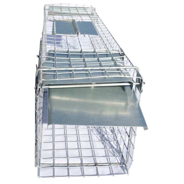 Live Trap Rat 65x17x20cm