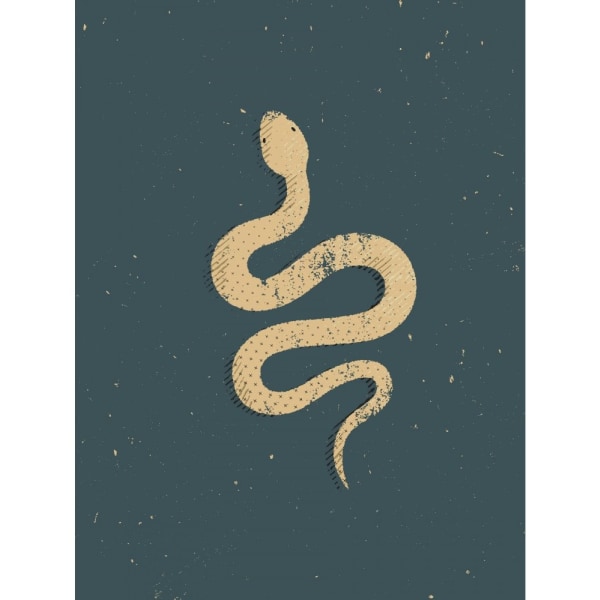 Snake - 70x100 cm