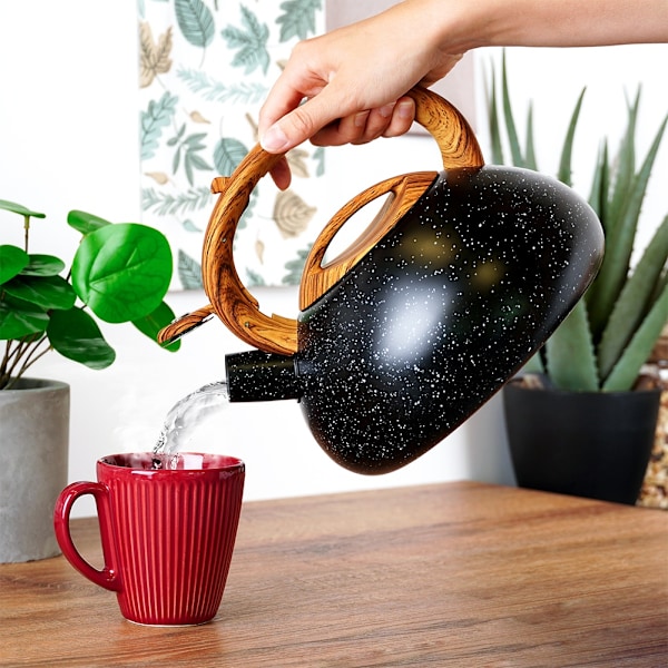 Elkedel med fløjte, stål, sort, 3 l