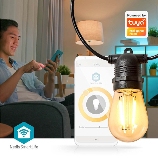 SmartLife Julbelysning | Festljus | Wi-Fi | Varm Vit | 10 LED's | 9.00 m | Android™ / IOS | Glödlampediameter: 45 mm