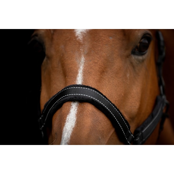 Fremragende Horse Superior Halter XS Mini Føl Sort