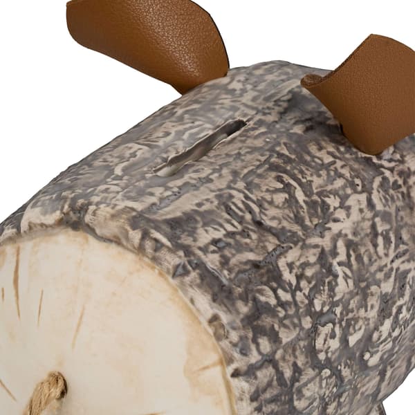 Säästöpossu kuorella