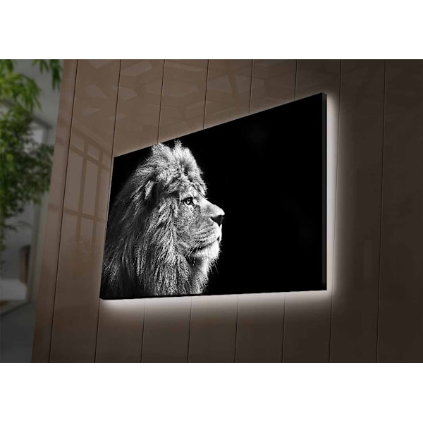 Dekorativ LED-belyst canvasmålning 4570DHDACT-058