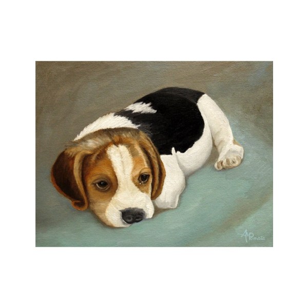 Söpö Beagle - 70x100 cm