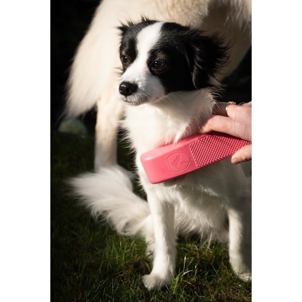 Fremragende Pet Grooming Brush Medium sort