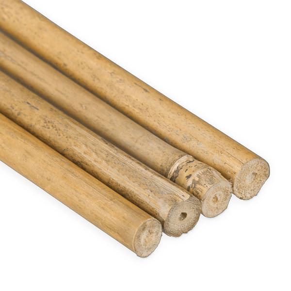 Bambu käppar 105 cm