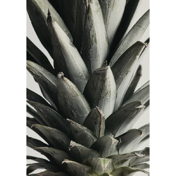 Pineapple Close Up - 21x30 cm