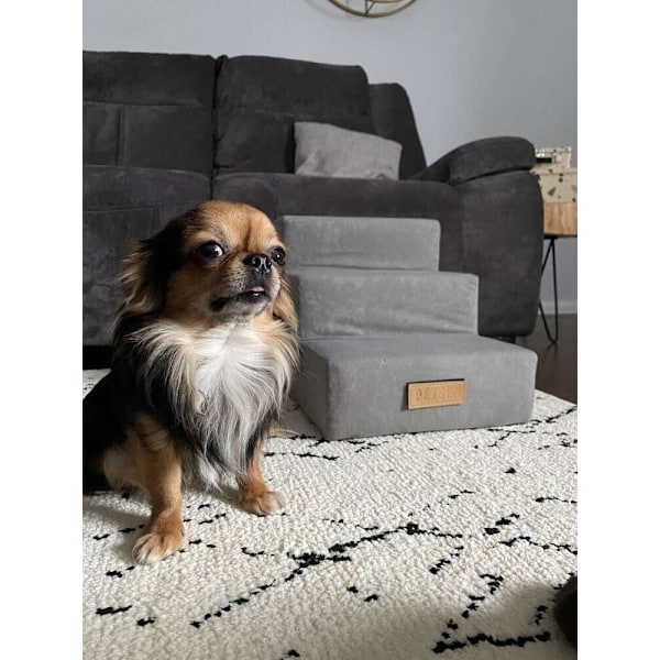 Hund/katttrappa 4 trappsteg - grå