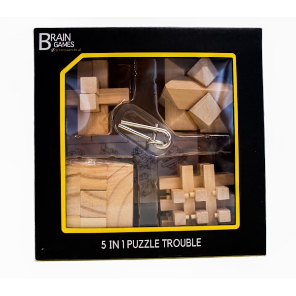 Brain Games Pulmapelit 5 In 1