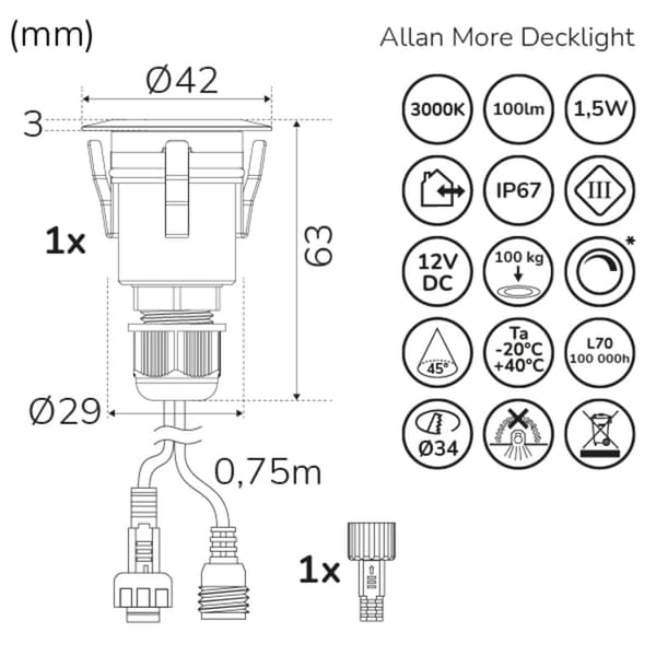 Allan More Decklight 1 kpl 12V 3000K 100lm IP67