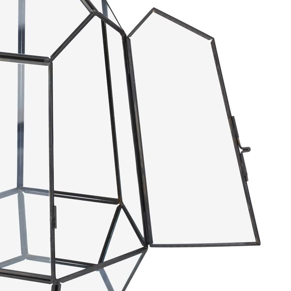 Geometriskt glasterrarium för suckulenter och luftväxter