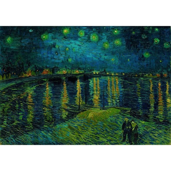 Starry Night Over the Rhone 1000-brikkers puslespil