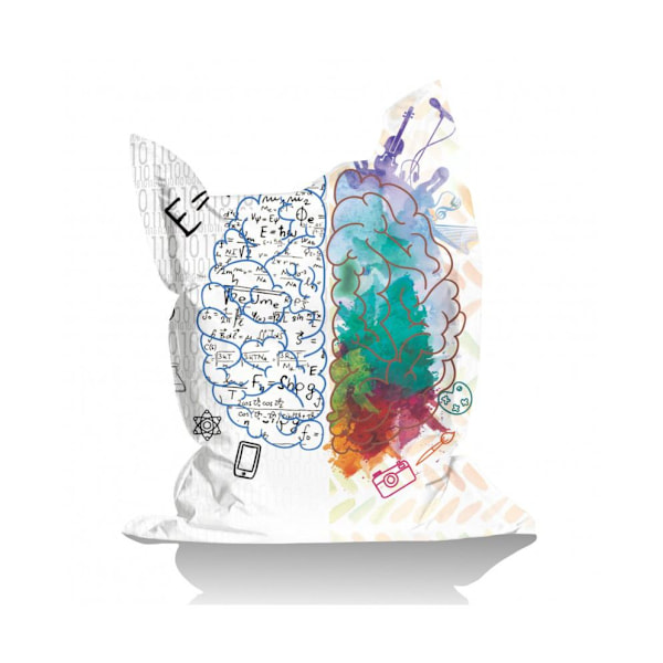 Havebønnepose Giant EMC2 Brain
