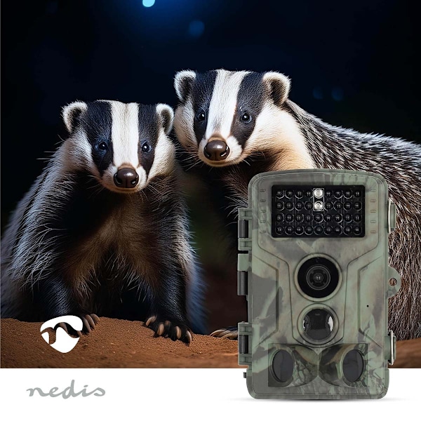 Wildlife Camera | 4K@10fps | 50 MPixel | 5 MPixel CMOS | IP65 | Svart No-Glow IR | Nattseende | Betraktningsvinkel: 60 ° | Rörelsesensor | Detektering