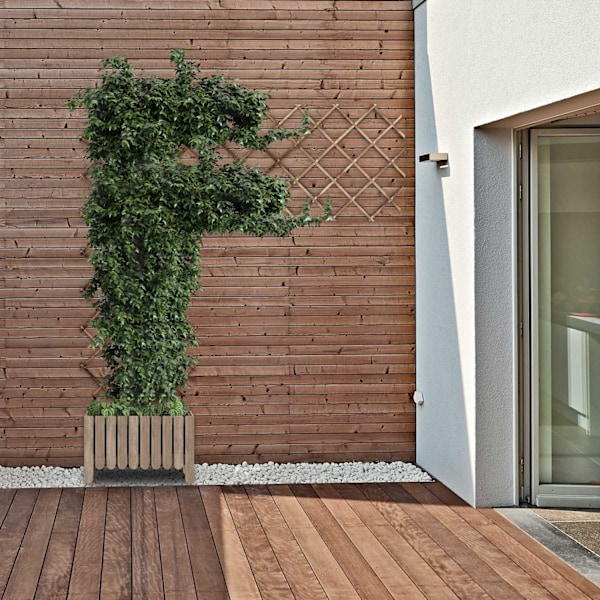 Udtrækkeligt espalier sæt med 3 stk