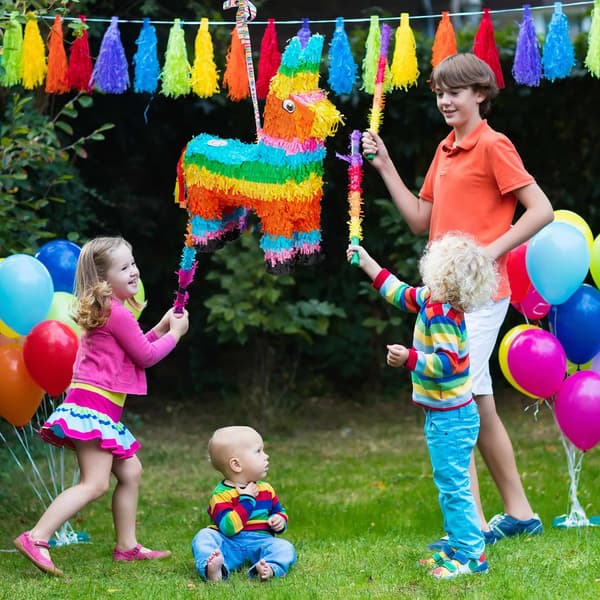 Pinata Lama