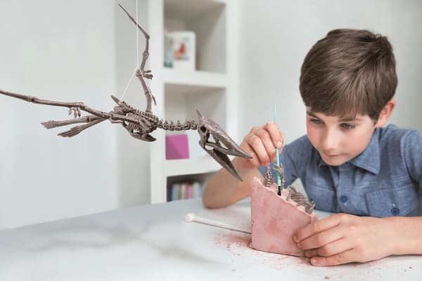 4M askartelusarja "Dig A Pteranodon Skeleton"