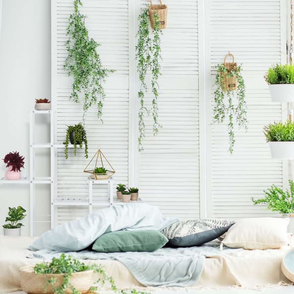Hvid blomsterstand med hjul