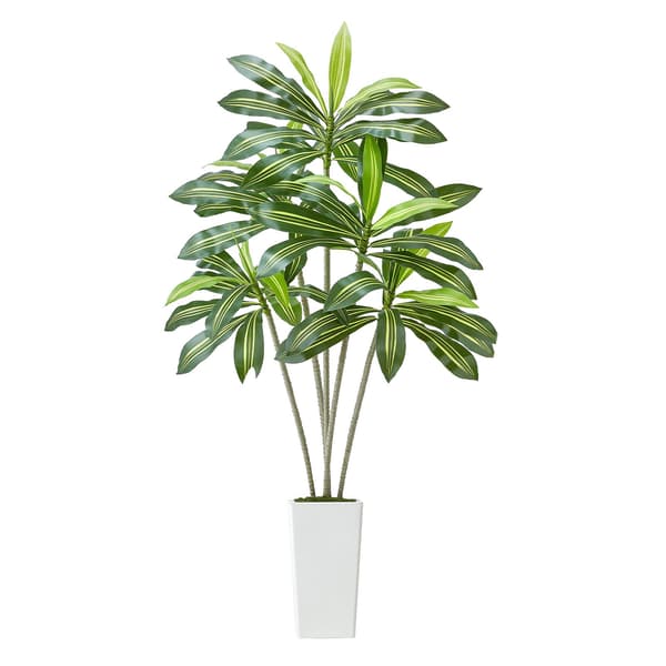 Konstgjord dracaena 1,8 meter, vit hög kruka
