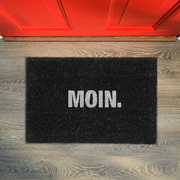 Dörrmatta kokosfiber ”Moin”