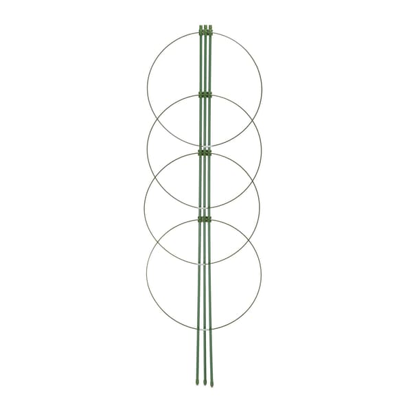 6 kpl kasvitukia 90 cm