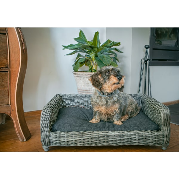Lad os sove Hyggelig kurv Wicker Hundekurv M antracit