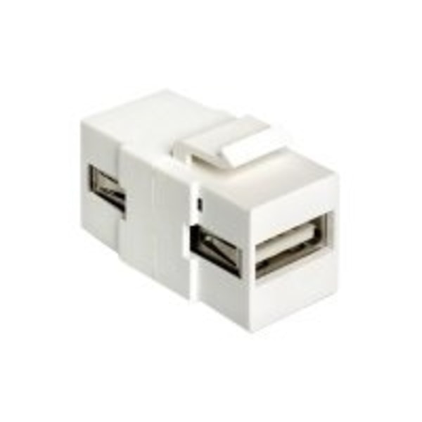 Delock - Modulär insats (koppling) - USB Type A