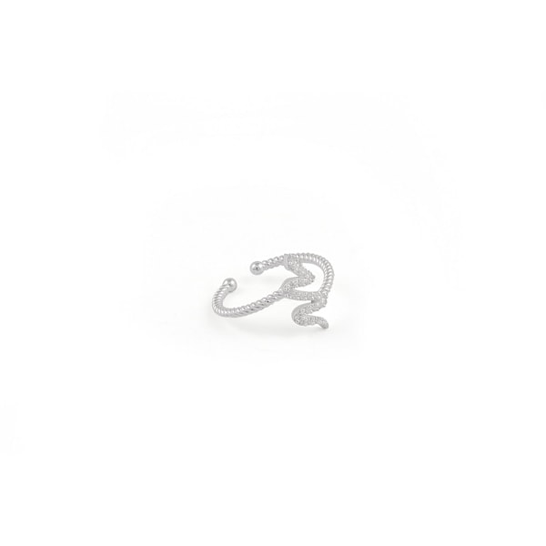 Silverring FA182284