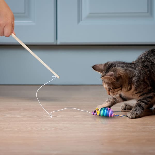 Fiskespö för katt, set om 5