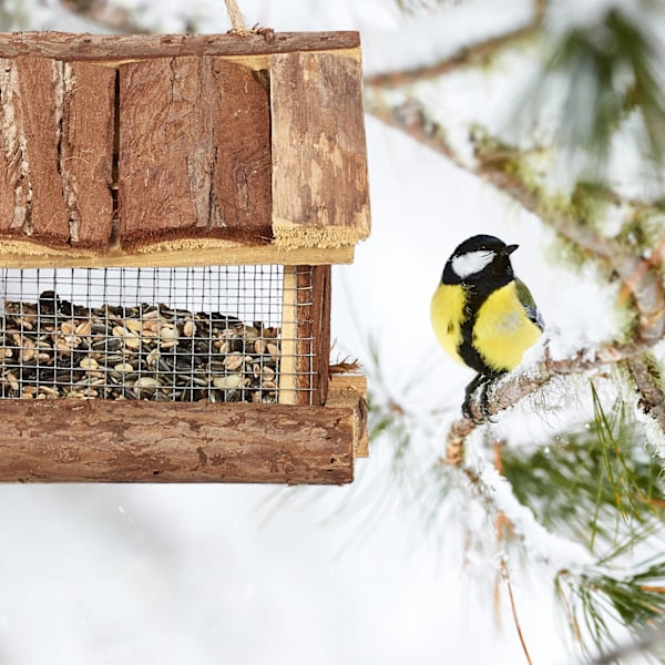Fuglefoderautomat med bark