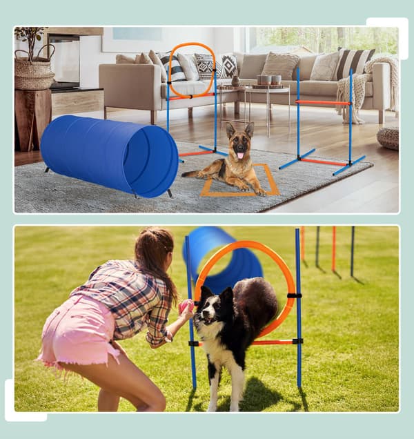 Hund Agility Course Set med tunnel, häck, slalom