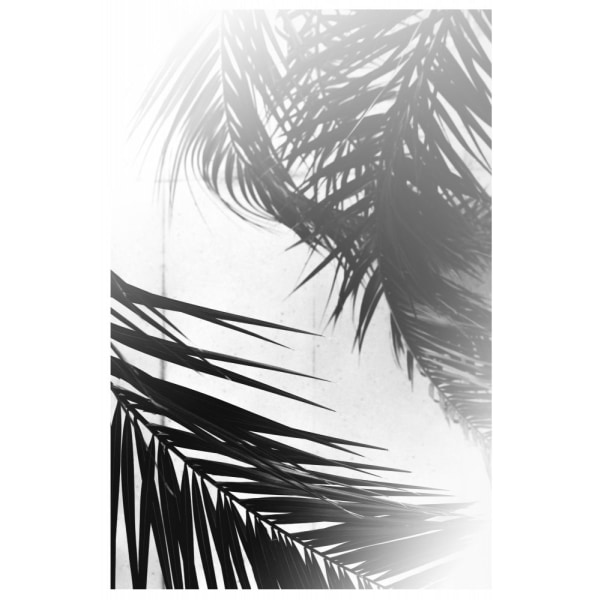 Summer Palms - 50x70 cm