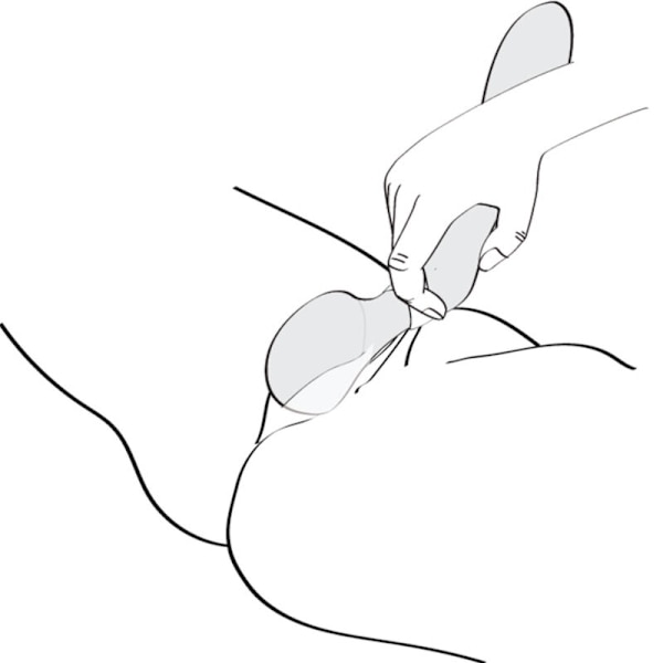 Shunga - Zoa Intimate Massager musta