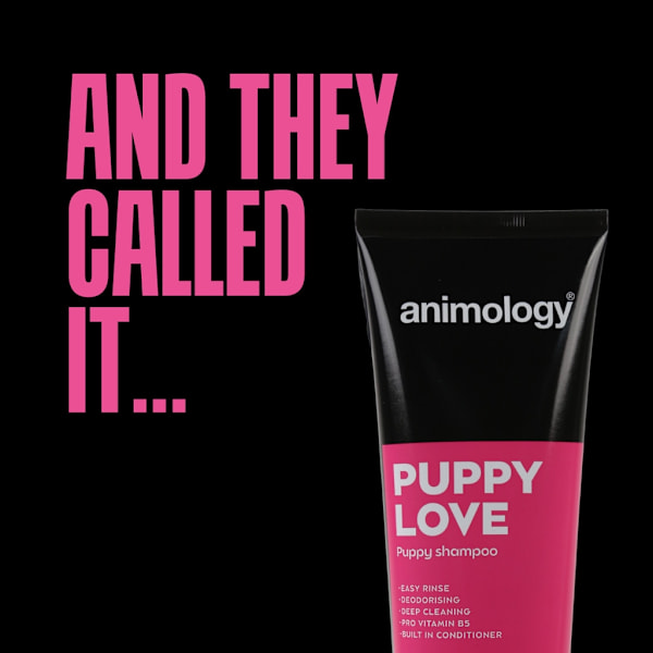 Animologi Puppy Love Schampo