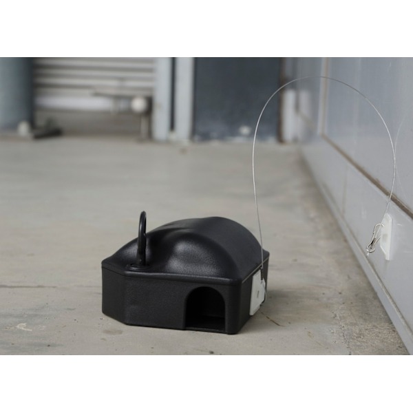 Klistra in ankare för dubbelsidig matarlåda 25cm + krok (set = 10