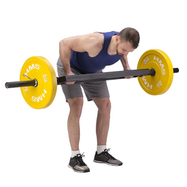 Tricepsstång, 20 kg vikt, stålkonstruktion