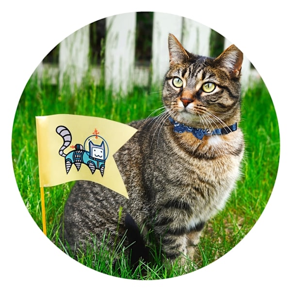 Pawise Cat krage med Bowknot röd