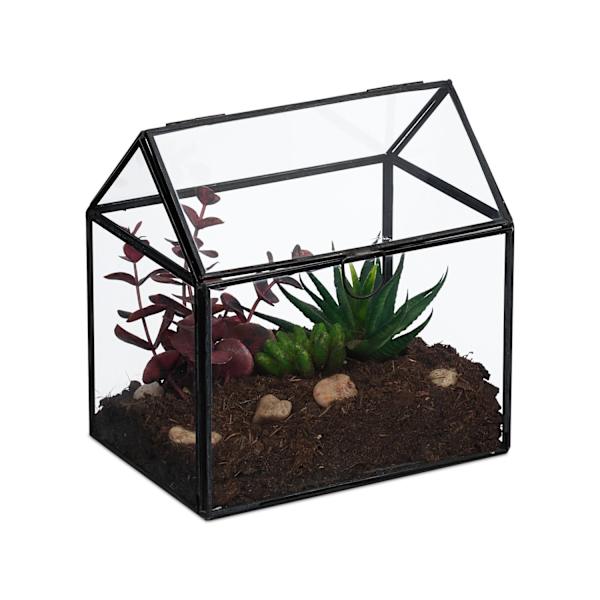 Glasplanteterrium, husformet, kompakt størrelse