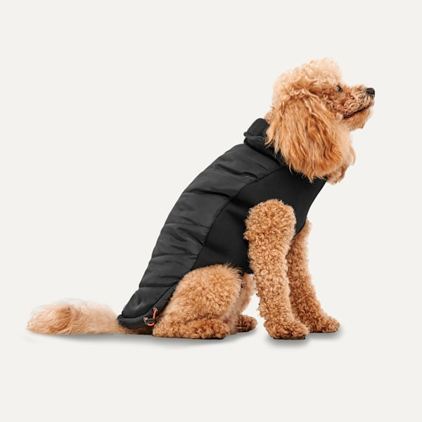 Gooeez Mock Neck Signature Jacket M Sort/Sort