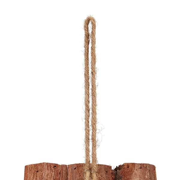 Miniholk træ