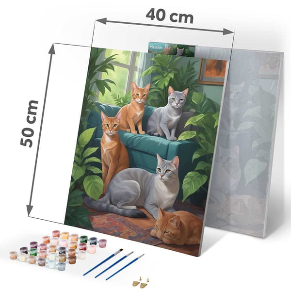 Maalaus numeroilla 40x50 cm Massido Cats