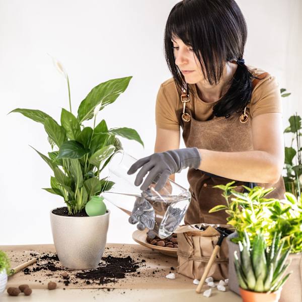 Lera tips bevattning set om 6