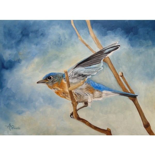 Bluebird, Blue Morning - 70x100 cm