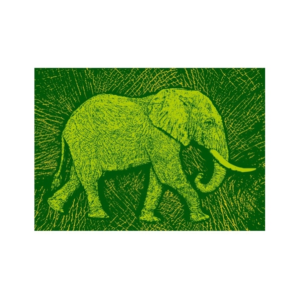 Africa Elephant Texture Pattern - 30x40 cm